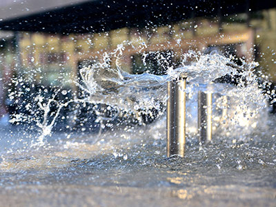 畜禽良种场企业风采