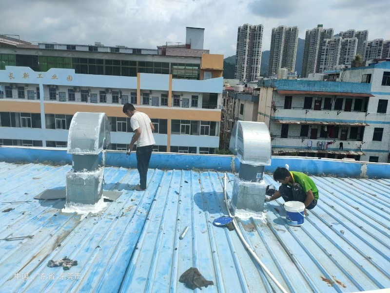 畜禽良种场钢结构屋面涂料维修方法