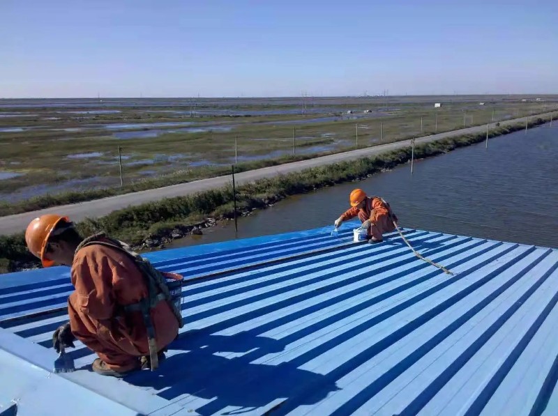 畜禽良种场钢结构屋面漏水原因